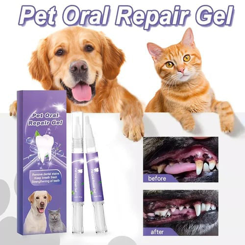 Achetez 1 et obtenez 1 gratuit🌈Gel Réparateur Oral pour Animaux de Compagnie