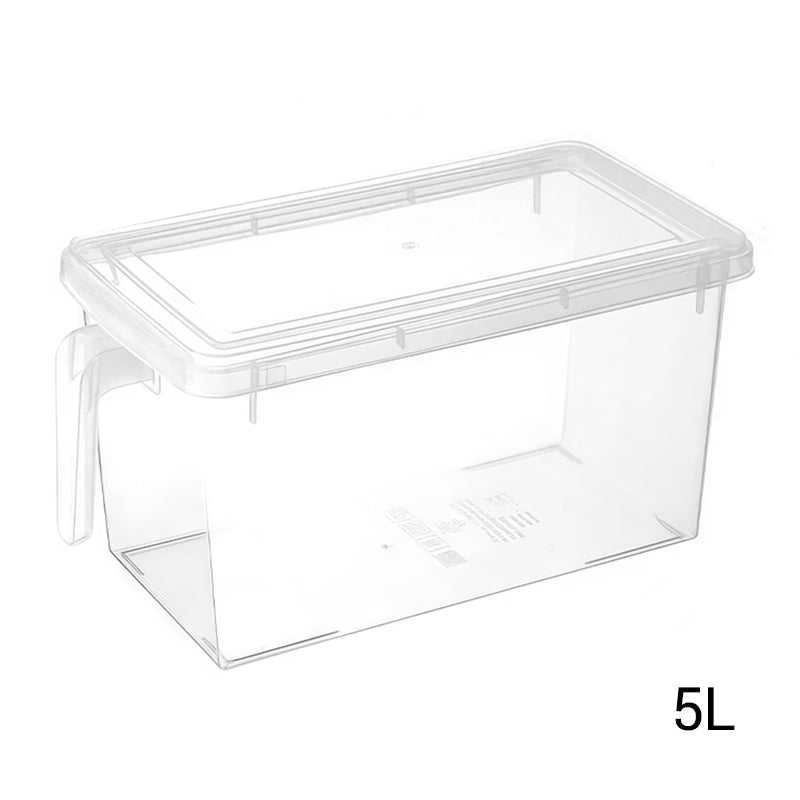 Boîte de conservation alimentaire transparente avec couvercle
