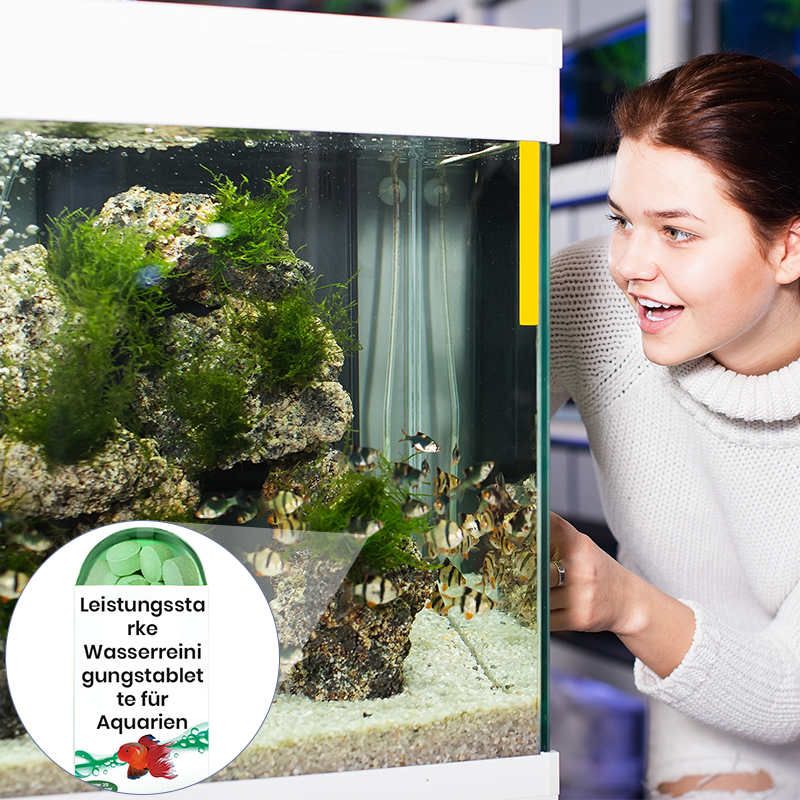 【📍Série pour Aquarium📍】Comprimé Puissant de Purification de l'Eau pour Aquarium