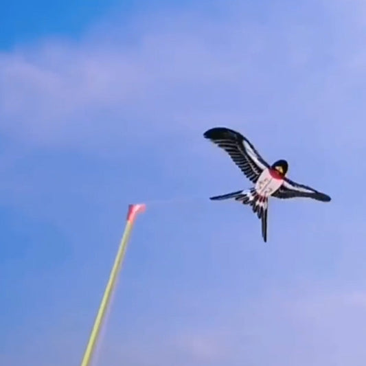 Jouets créatifs pour enfants : canne à pêche et cerf-volant