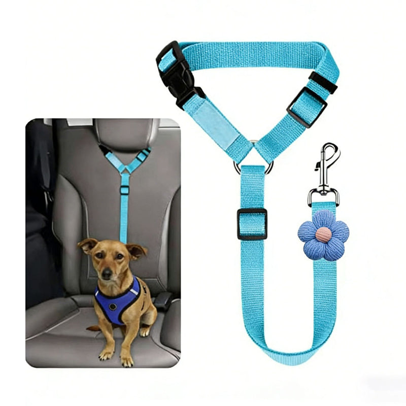 Ceinture de sécurité auto et laisse de promenade 2 en 1 pour chien