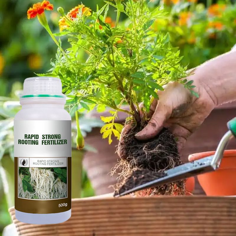 🌿 Stimulez la Croissance de Vos Plantes – Engrais Spécial Racines avec Offre 2 + 1 Gratuit ! 🌱💧