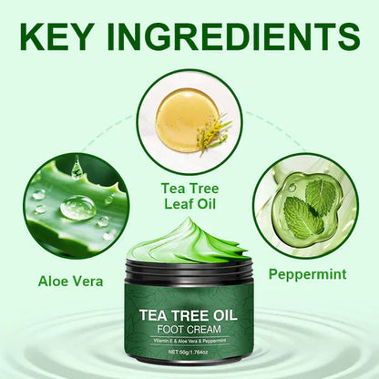 🥳 OFFRE SPÉCIALE 2026 ! 🥳 💞 Plus de 50 000 unités vendues ! ✨ 💝 Crème hydratante pour pieds à l’aloe vera et à l’arbre à thé