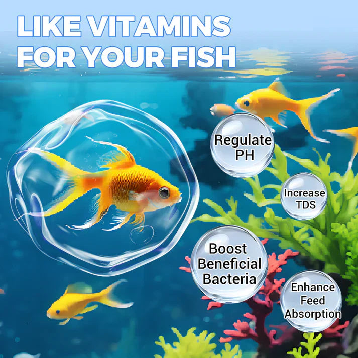 ♻️Comprimé puissant de purification de l'eau d'aquarium💧