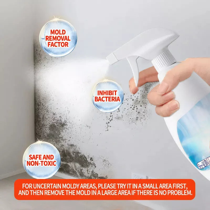 🔥Vente Flash 2025🔥 Spray Anti-Moisissures Hautement Efficace - Empêche la Réapparition