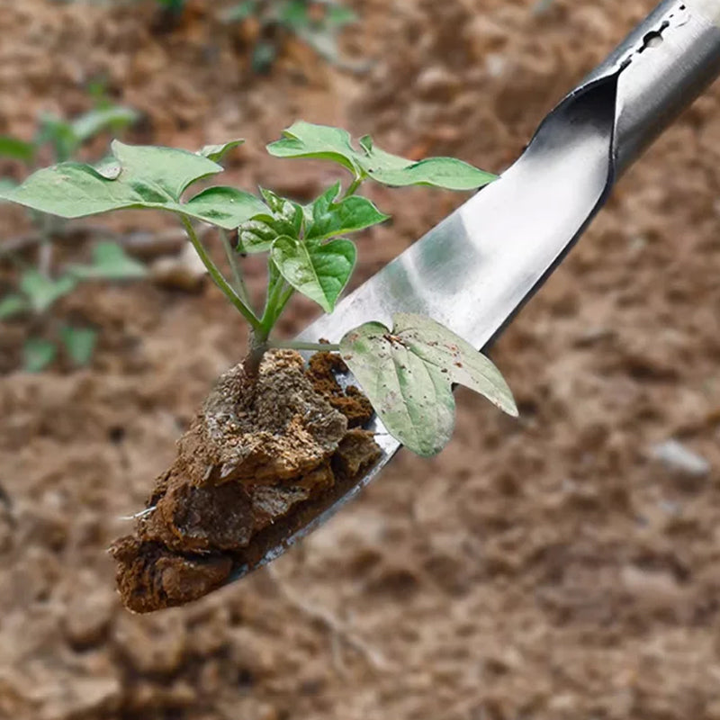 Outils de jardinage – Pelle à désherber, Transplantoir et Râteau