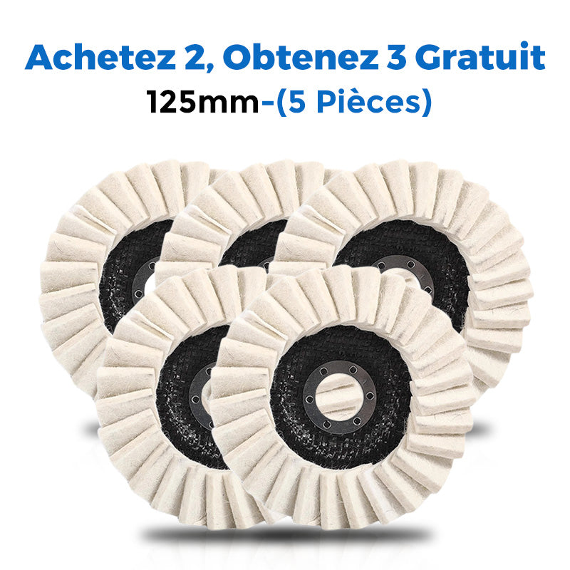 💐50% DE RÉDUCTION ! Disque à Polir Rapide – Fixation Facile, Résultat Pro ⚡🔩【4 Achetés, 6 Reçus】