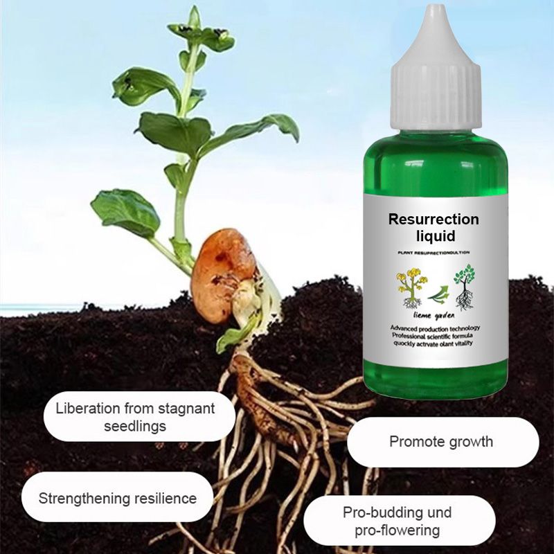 🪴🔥Achetez 3 pour 5 (8 bouteilles)🌼 Boostez Vos Plantes Et Vos Économies
