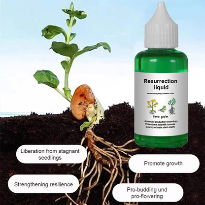 🪴🔥Achetez 3 pour 5 (8 bouteilles)🌼 Boostez Vos Plantes Et Vos Économies