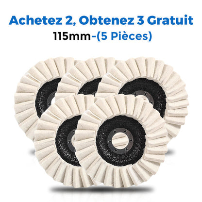 💐50% DE RÉDUCTION ! Disque à Polir Rapide – Fixation Facile, Résultat Pro ⚡🔩【4 Achetés, 6 Reçus】