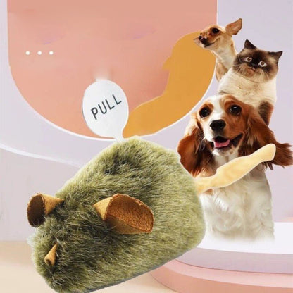 Souris jouet en peluche avec son pour chats