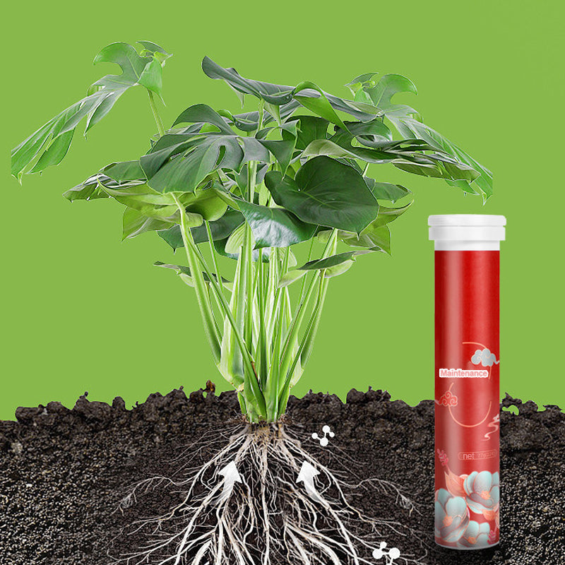 🍃Achetez-en 1 obtenez-en 1 gratuitement🌵🌸Comprimés nutritionnels universels vitalité pour la croissance des plantes