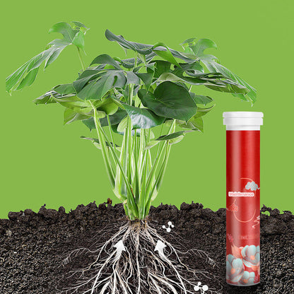 🍃Achetez-en 1 obtenez-en 1 gratuitement🌵🌸Comprimés nutritionnels universels vitalité pour la croissance des plantes