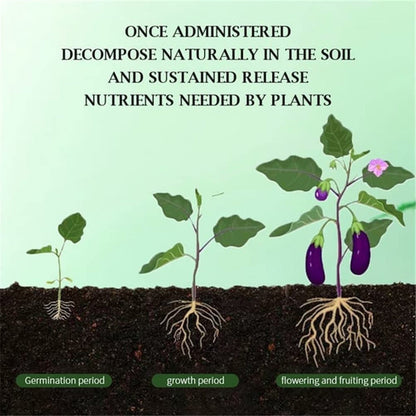 🍃Achetez-en 1 obtenez-en 1 gratuitement🌵🌸Comprimés nutritionnels universels vitalité pour la croissance des plantes