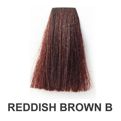 90ml Permanent Hair Color with Developer & Tools