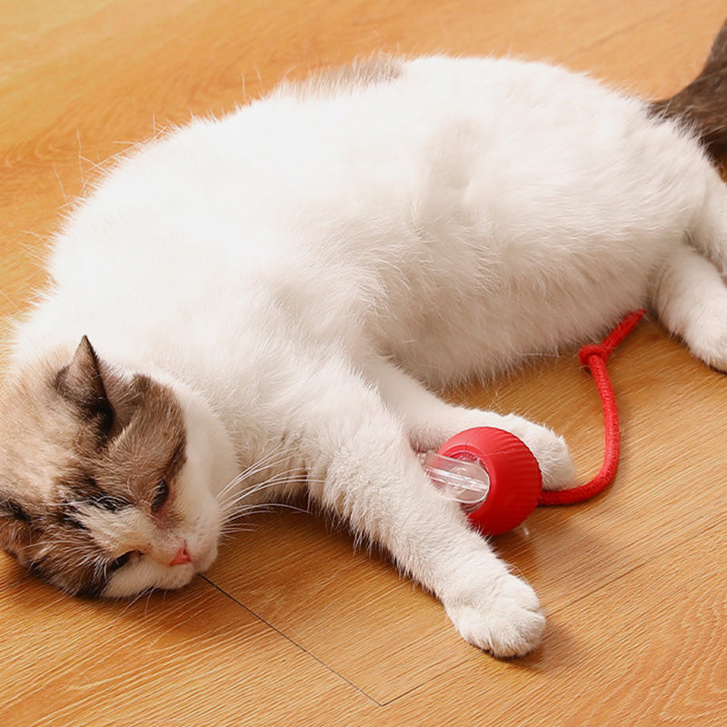 Boule Roulante Automatique Intelligente pour Animaux de Compagnie