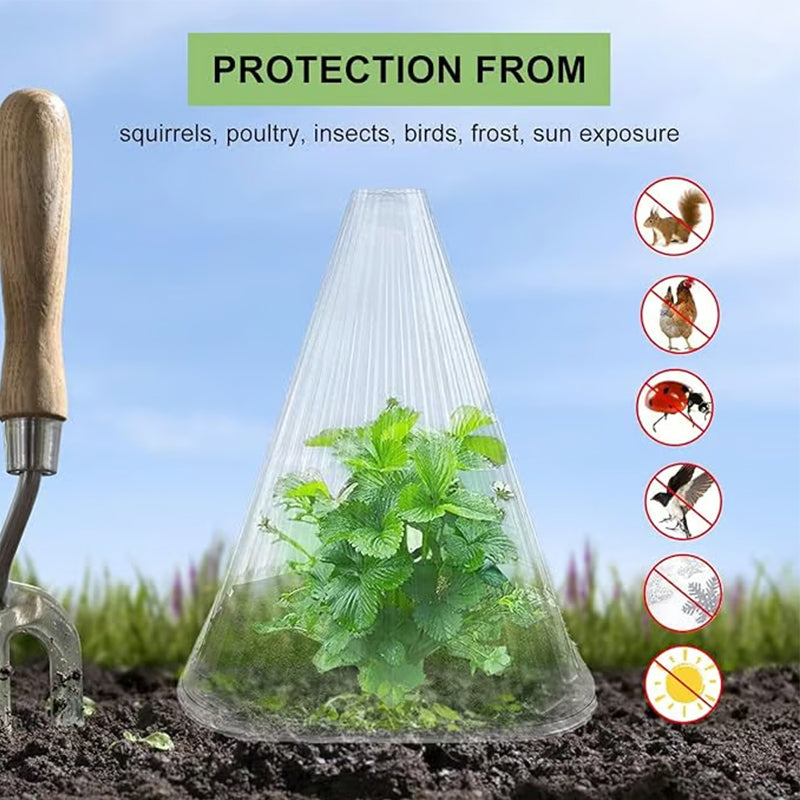 10/20/30 pièces – Cloche de jardin transparente pour plantes