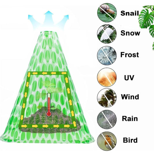 10/20/30 pièces – Cloche de jardin transparente pour plantes