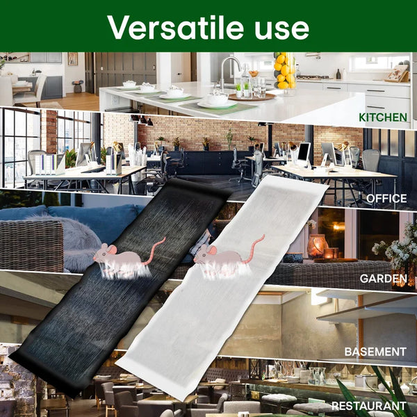 🔥Vente chaude en 2026🔥Grand piège à souris collant