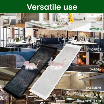 🔥Vente chaude en 2026🔥Grand piège à souris collant
