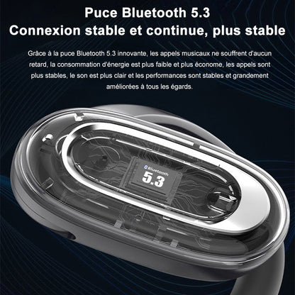 Écouteurs Bluetooth Portable de Stéréo 3D