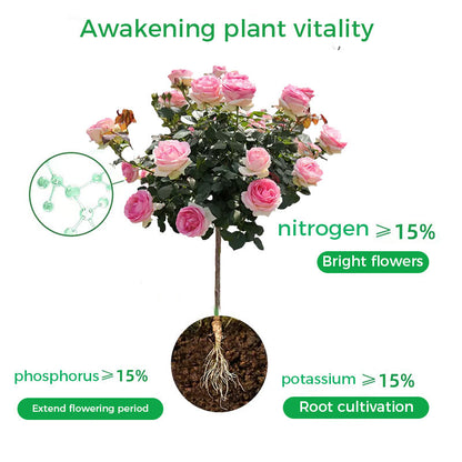 🔥Poudre de Racine et Floraison Rapide (50% DE RÉDUCTION)