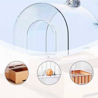 Bassin deux-en-un pour le bain et l’alimentation des perroquets