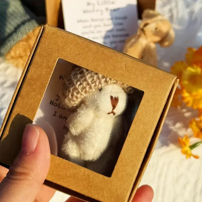 🔥Dernier jour prix spécial-50% de réduction🎁Mini ours en peluche fait main dans une boîte