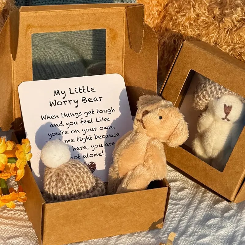 🔥Dernier jour prix spécial-50% de réduction🎁Mini ours en peluche fait main dans une boîte