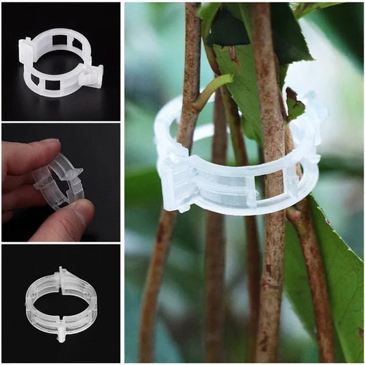 🗜️Clips pour plantes grimpantes – Attaches en plastique pour tomates et plantes grimpantes 🌱🍅