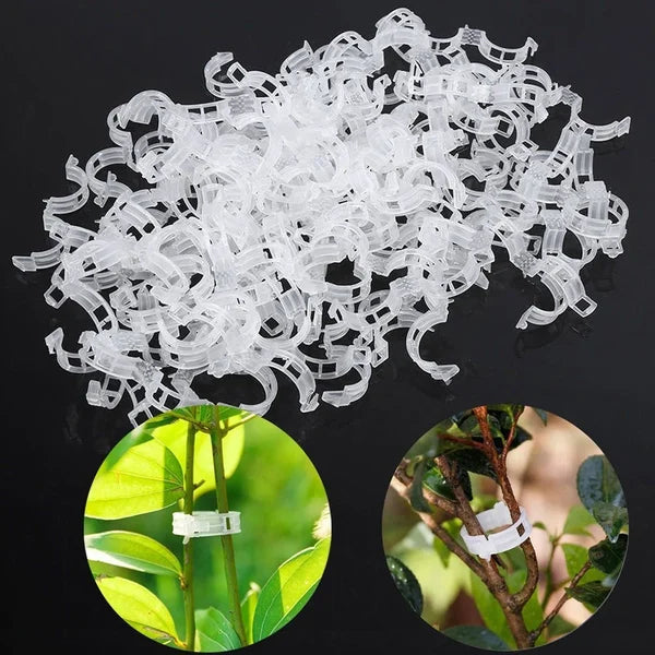 🗜️Clips pour plantes grimpantes – Attaches en plastique pour tomates et plantes grimpantes 🌱🍅