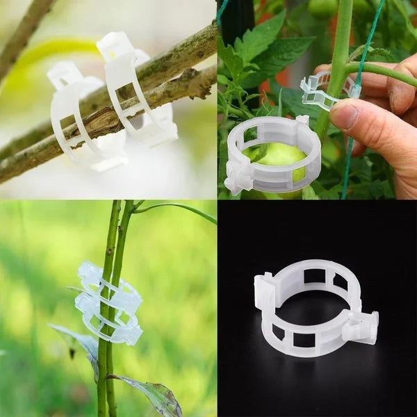 🗜️Clips pour plantes grimpantes – Attaches en plastique pour tomates et plantes grimpantes 🌱🍅