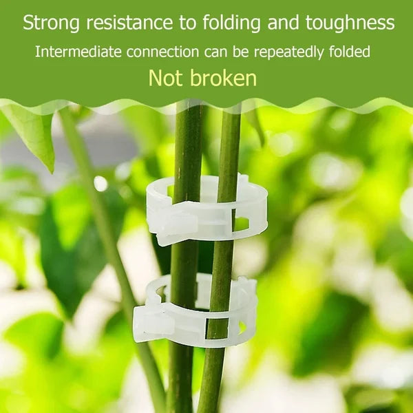 🗜️Clips pour plantes grimpantes – Attaches en plastique pour tomates et plantes grimpantes 🌱🍅