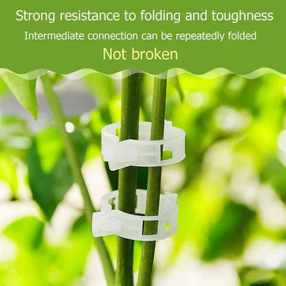 🗜️Clips pour plantes grimpantes – Attaches en plastique pour tomates et plantes grimpantes 🌱🍅