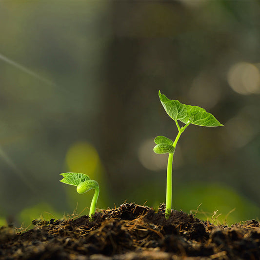 Activateur de sol anti-agglomérant, acide et alcalin🌱,💥💥 offre limitée dans le temps