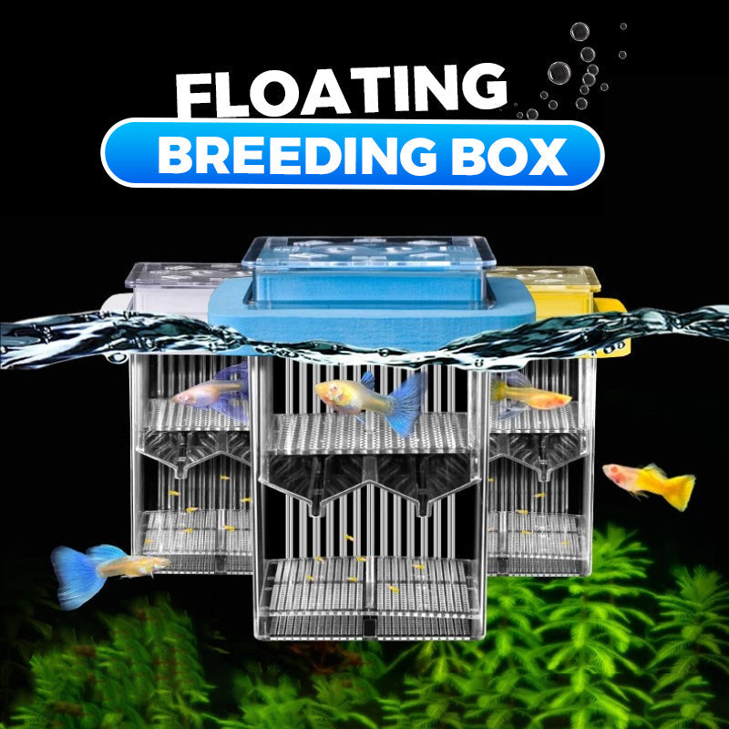 🐟💧 Promotion éclair à moitié prix ! Aquarium d'écloserie en acrylique 4 couches 🛡️ → Système de protection pour élever vos alevins en toute sécurité 🐠✨