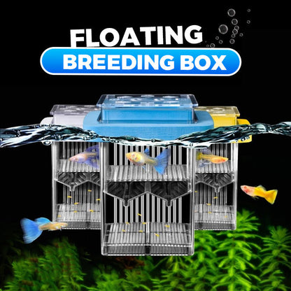 🐟💧 Promotion éclair à moitié prix ! Aquarium d'écloserie en acrylique 4 couches 🛡️ → Système de protection pour élever vos alevins en toute sécurité 🐠✨