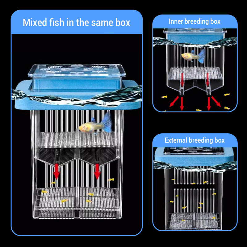 🐟💧 Promotion éclair à moitié prix ! Aquarium d'écloserie en acrylique 4 couches 🛡️ → Système de protection pour élever vos alevins en toute sécurité 🐠✨