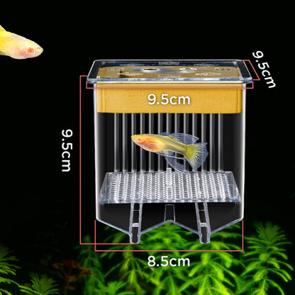 🐟💧 Promotion éclair à moitié prix ! Aquarium d'écloserie en acrylique 4 couches 🛡️ → Système de protection pour élever vos alevins en toute sécurité 🐠✨