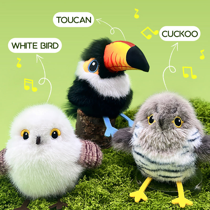 🎁🐱Jouet interactif pour chat en forme d'oiseau réaliste