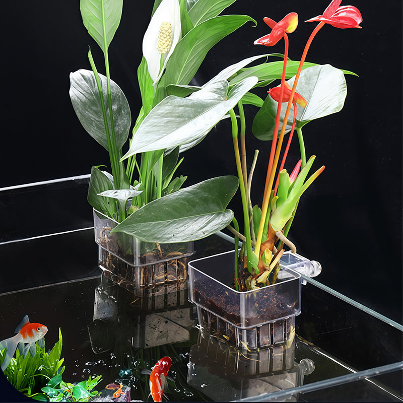 🏆Porte-jardinière aquarium suspendu 🌱🐠
