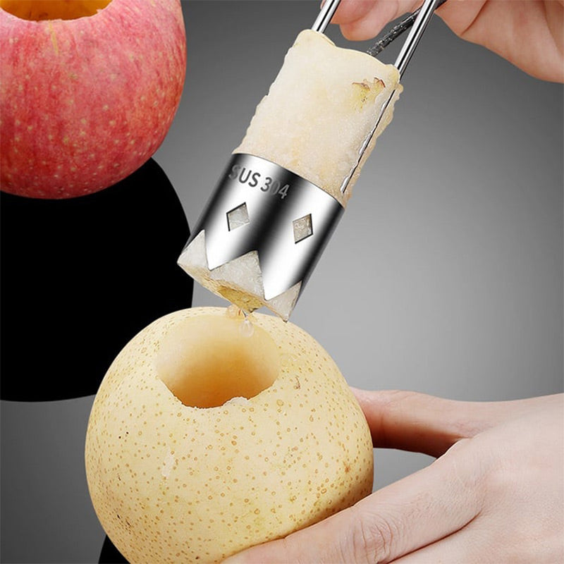 ⏳Promotion Éclair⏰Universel Extracteur de noyaux de fruits en acier inoxydable🍎🍏
