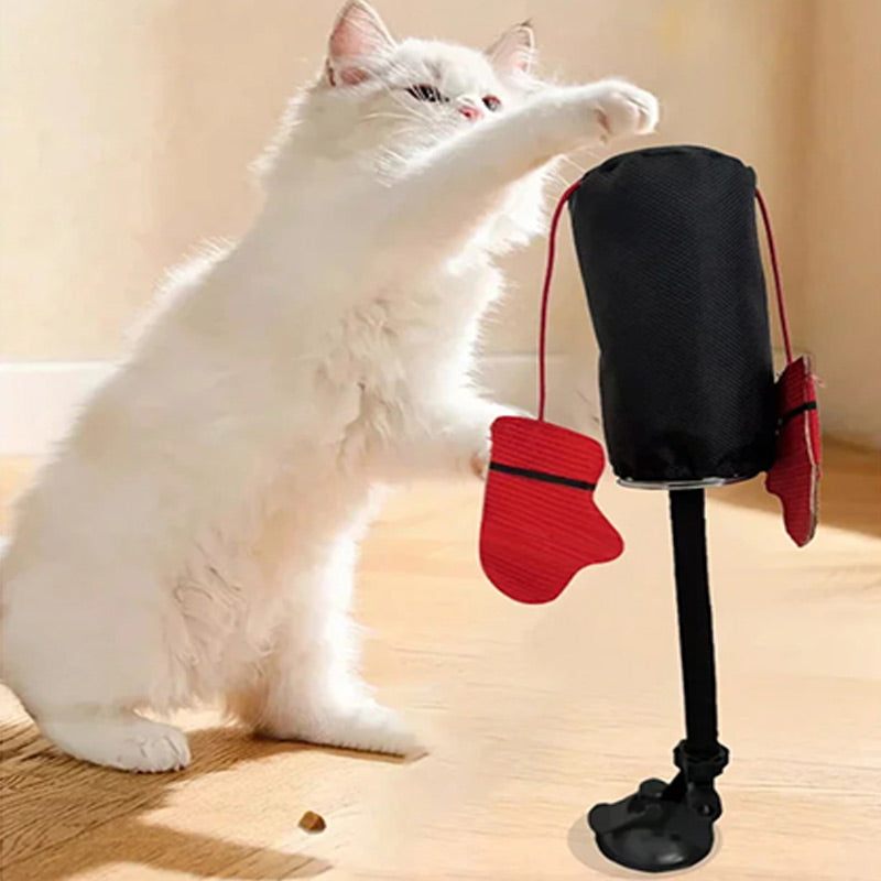 Jouet interactif pour chat : Sac de frappe😻🐾