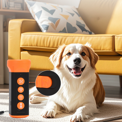 Dispositifs anti-aboiements à ultrasons pour chiens