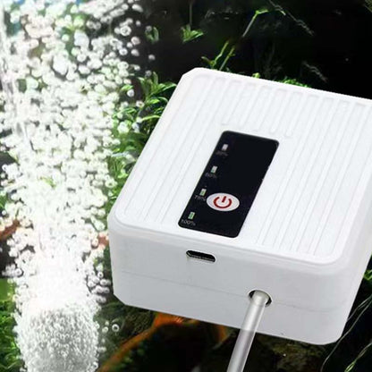 Pompe à Oxygène Compacte et Portable