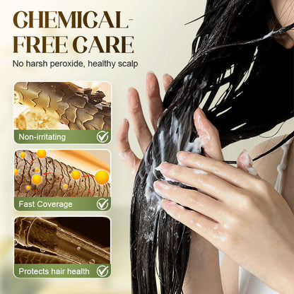 🌿 ACHETEZ 2, OFFERT 1 ! ✨ Colorant Capillaire aux Extraits Végétaux pour Cheveux Blancs - Formule Naturelle aux Botaniques Nourrissants pour une Couleur Éclatante sans Dommage 💆‍♀️💫