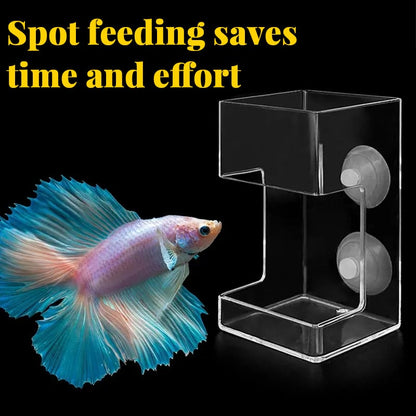 🐟Anneau et Plateau de Nourrissage pour Aquarium