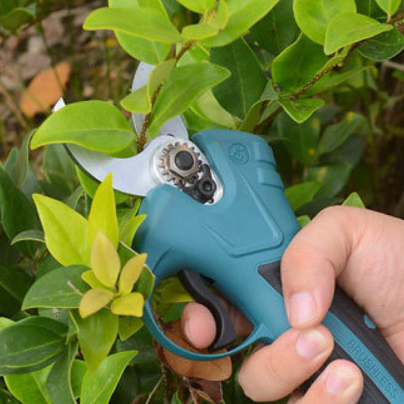 🔥Sécateur électrique🔥Les outils de jardinage les plus vendus