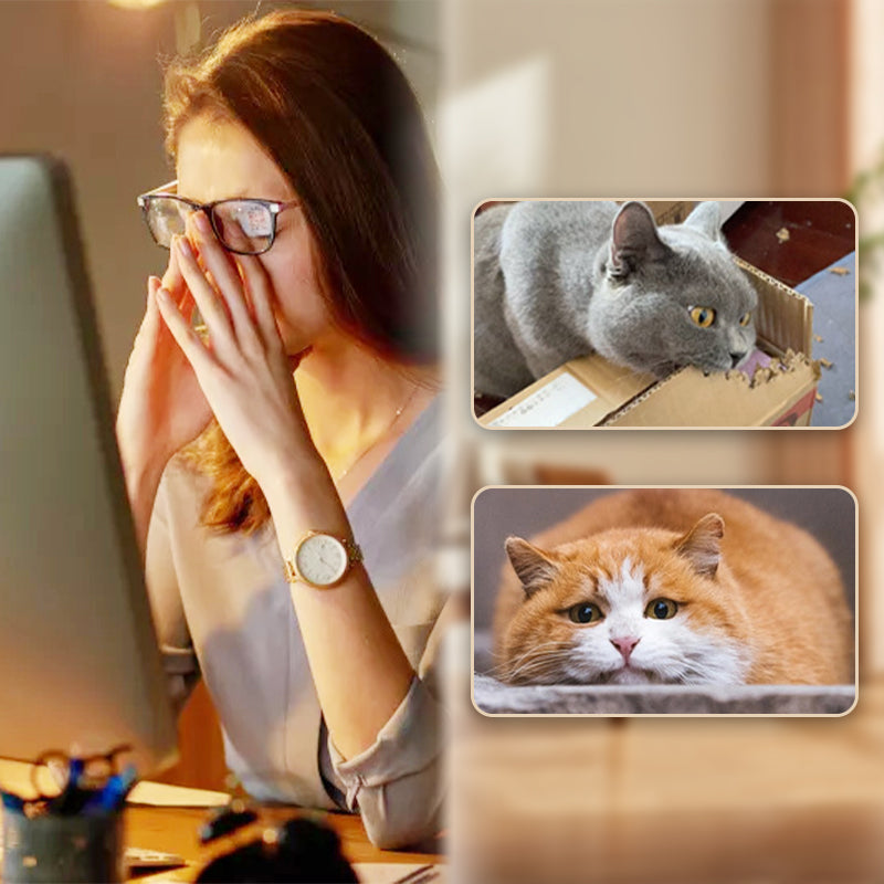 🔥2025 HOT SALE🐱 Boule rebondissante interactive pour chat avec plume