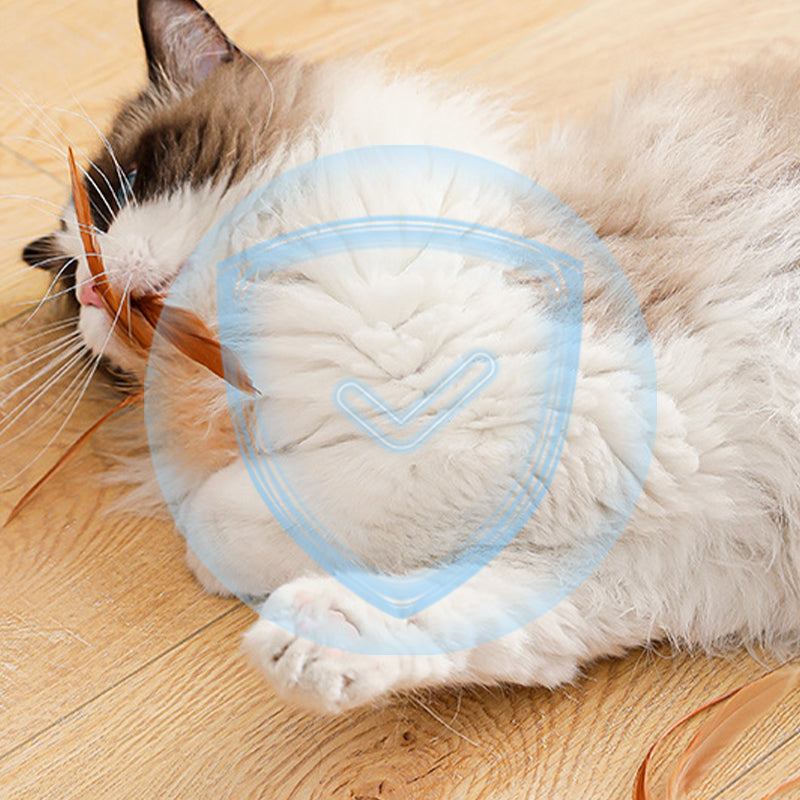 🔥2025 HOT SALE🐱 Boule rebondissante interactive pour chat avec plume